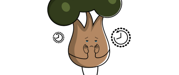 blog
